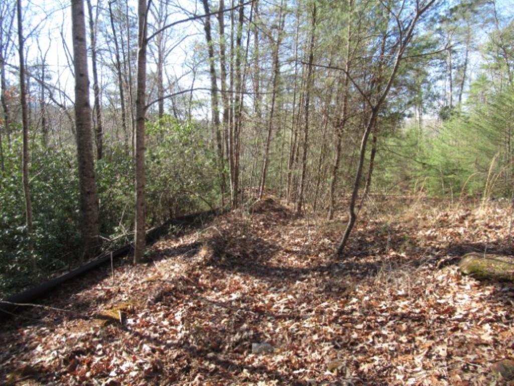 306 Woodmere Drive, Pickens, South Carolina image 7