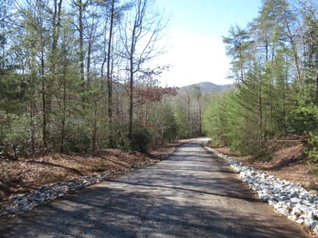 306 Woodmere Drive, Pickens, South Carolina image 4