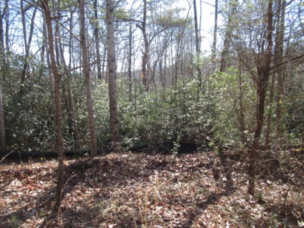 306 Woodmere Drive, Pickens, South Carolina image 5