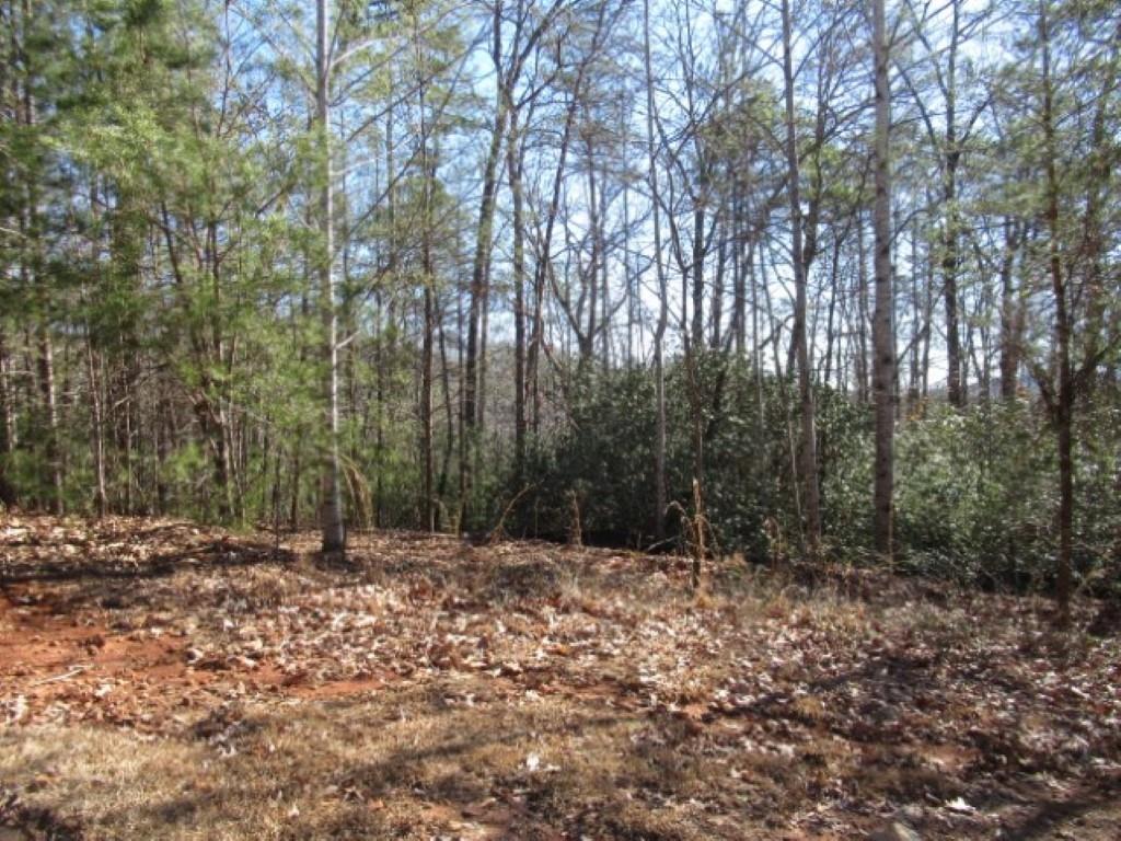 306 Woodmere Drive, Pickens, South Carolina image 3