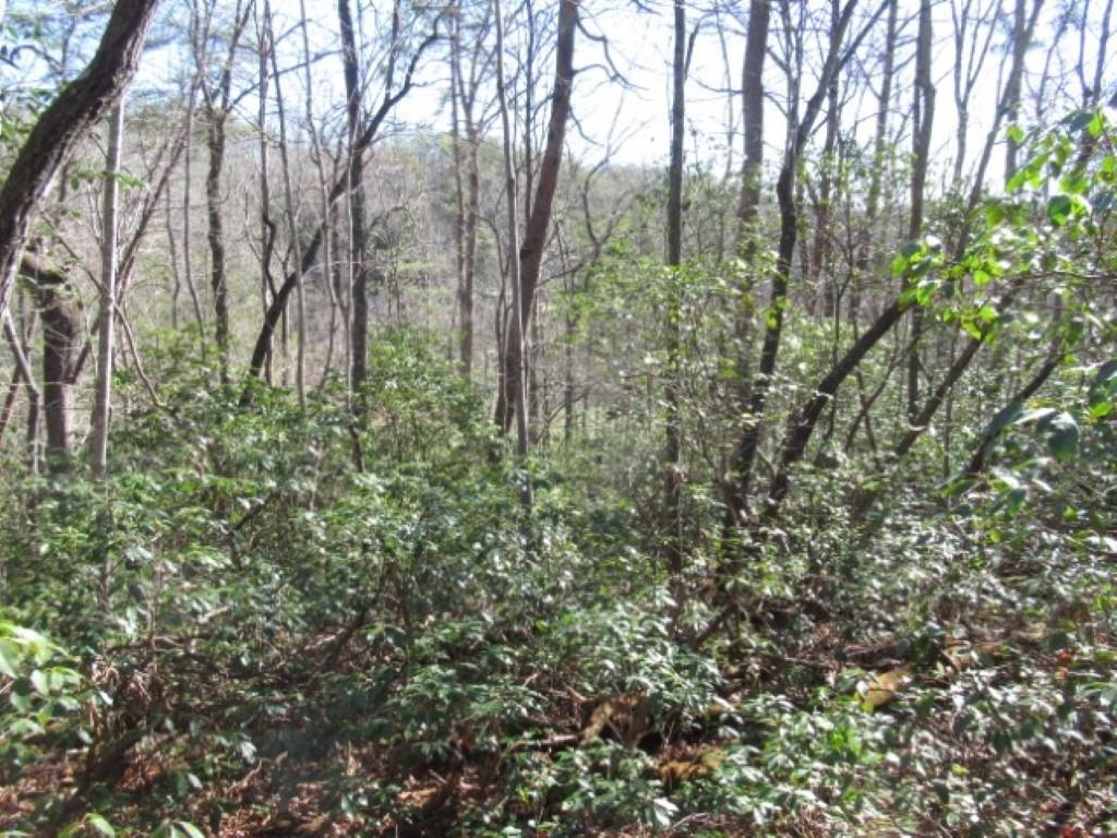 306 Woodmere Drive, Pickens, South Carolina image 13