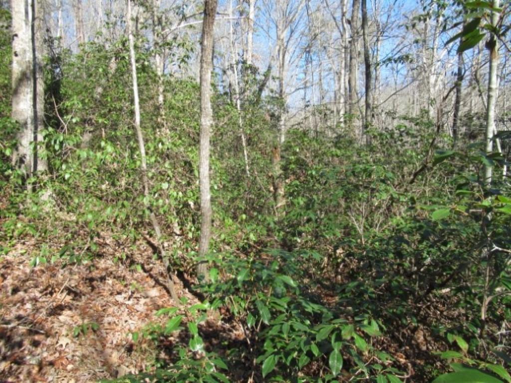 306 Woodmere Drive, Pickens, South Carolina image 15