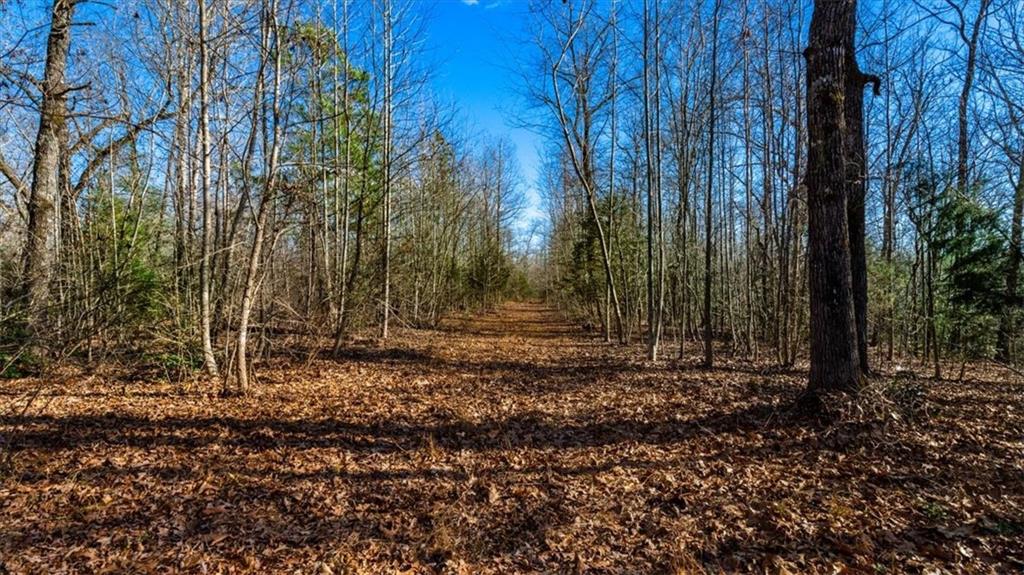 00 Mauldin Lake Road, Pickens, South Carolina image 13