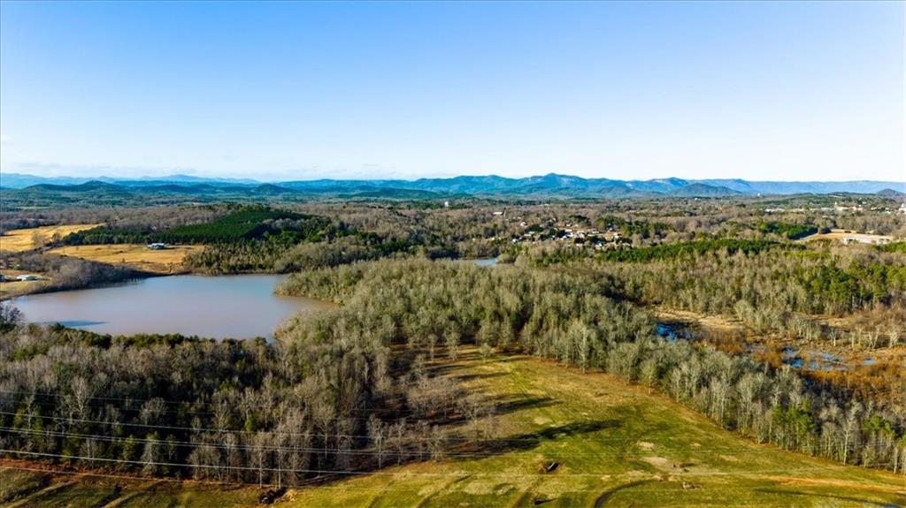 00 Mauldin Lake Road, Pickens, South Carolina image 22