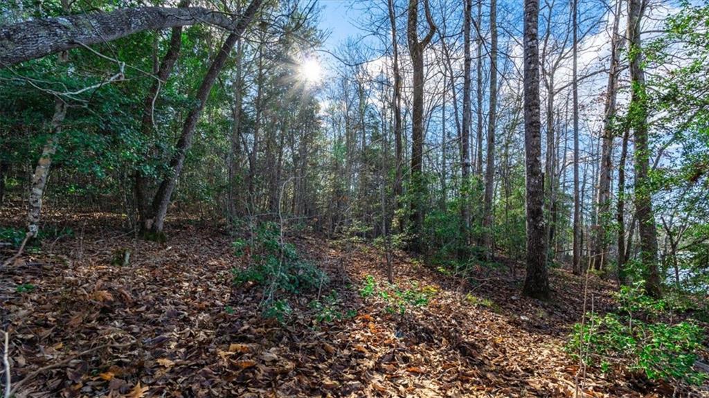 00 Mauldin Lake Road, Pickens, South Carolina image 11
