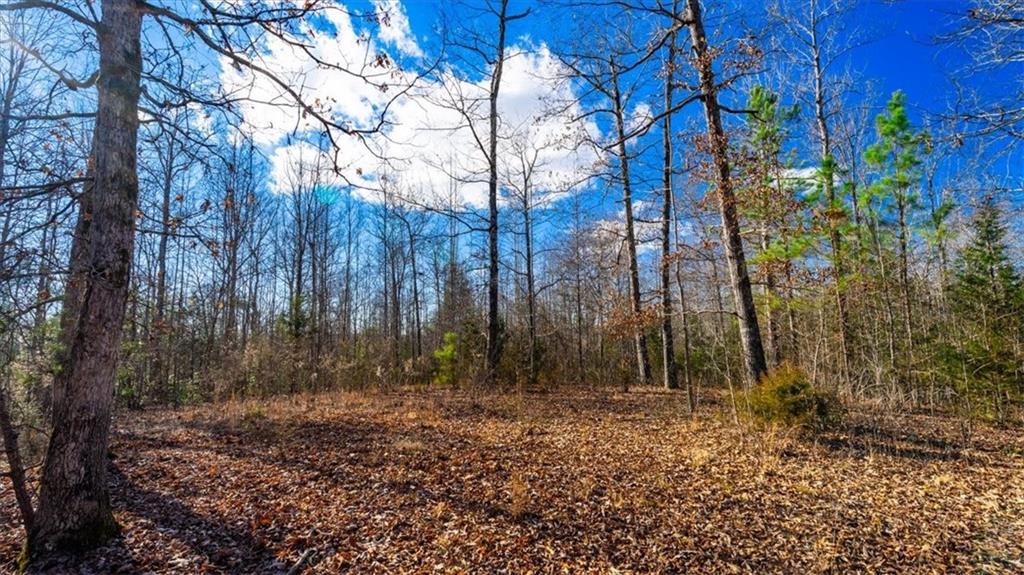 00 Mauldin Lake Road, Pickens, South Carolina image 14
