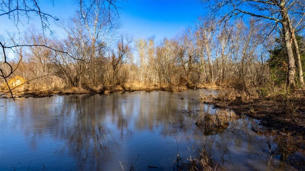 00 Mauldin Lake Road, Pickens, South Carolina image 9