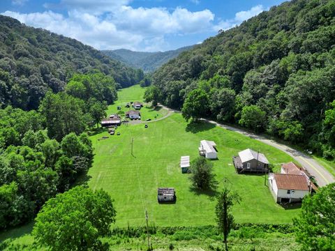 11733 Willey Fork Road Big Run WV 26561