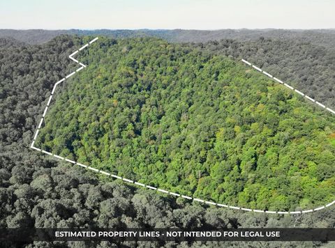 OFF ROUTE 20 Jacksonburg WV 26377