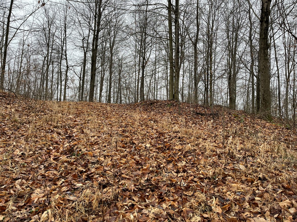 RT 64 Braden Hill Rd.