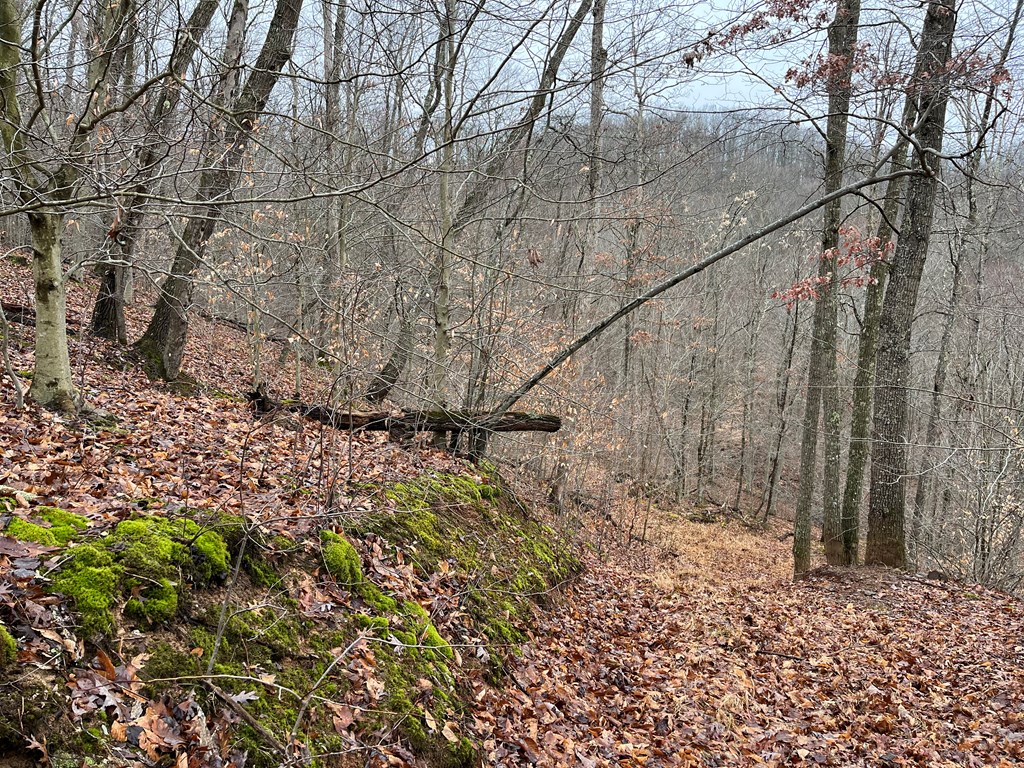 RT 64 Braden Hill Rd.