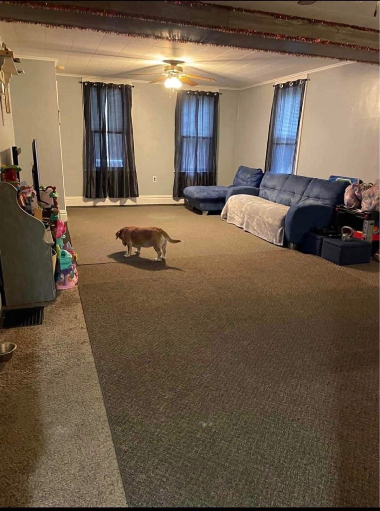 137 Roosevelt Avenue