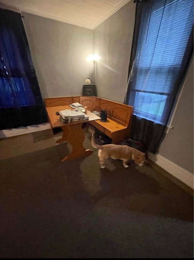 137 Roosevelt Avenue