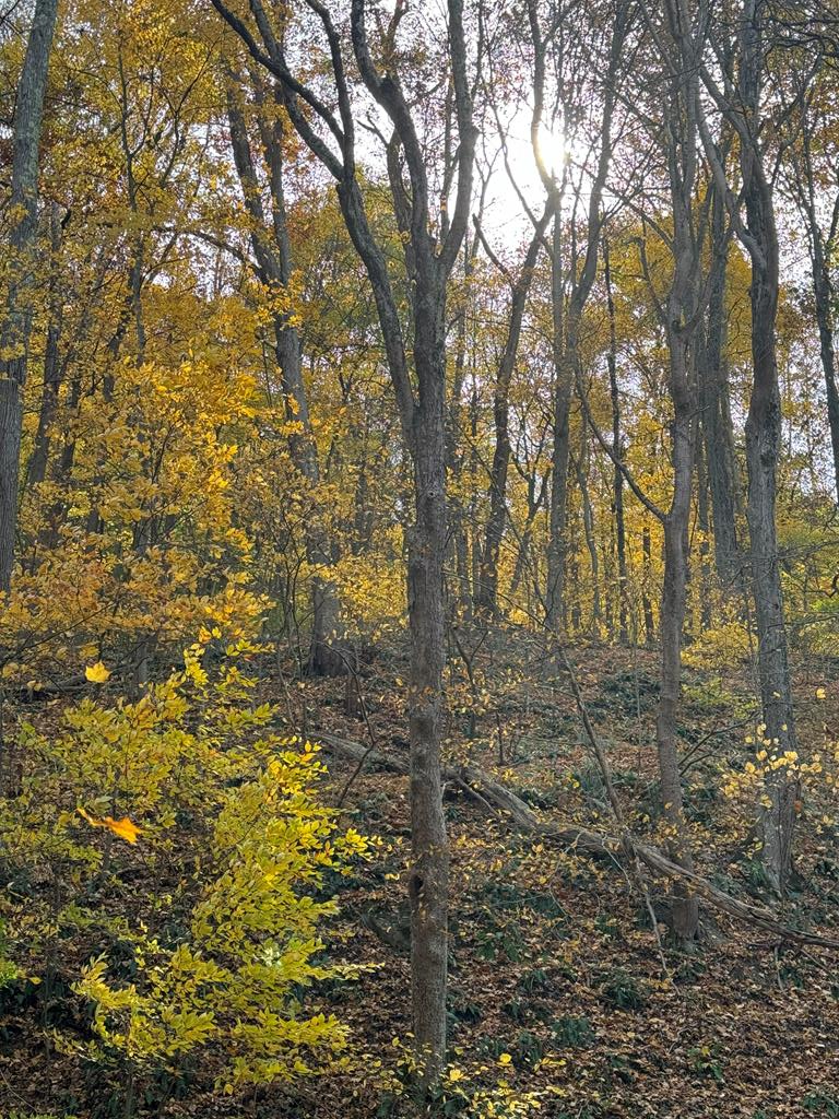 0 Girty's Point Road