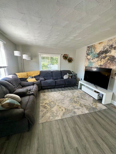 811 Tomlinson Avenue-Rear