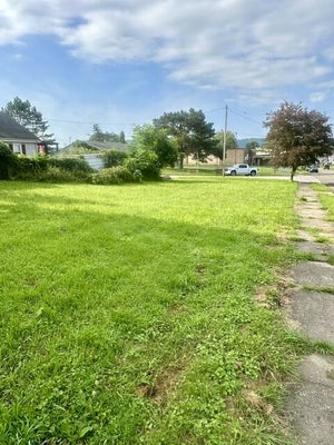 28 PARK ST, MOUNDSVILLE, WV 26041 - Image 5ac5b4bd77b6fd2149b8dff9be757793/3080386106
