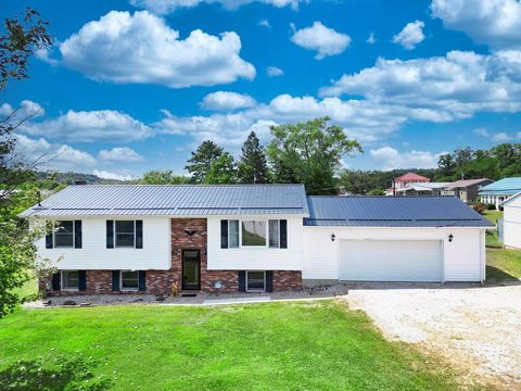 310 1/2 Fair Street Middlebourne WV 26149