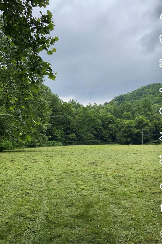 1302 Little Grave Creek Road