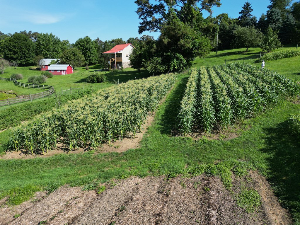 2470 Windy Hill Road