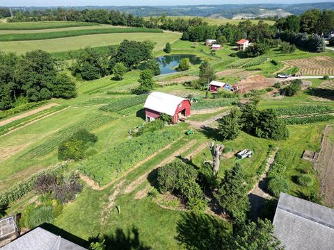 2470 Windy Hill Road Wellsburg WV 26070