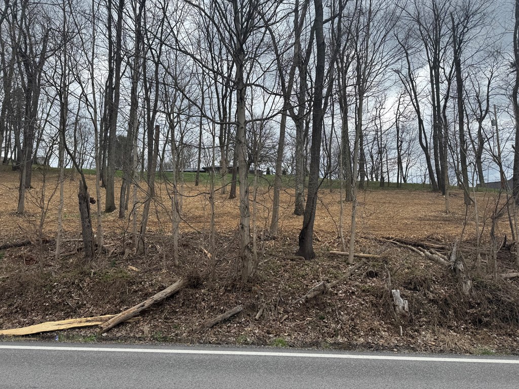 TBD GLEN DALE HEIGHTS RD, MARSHALL MEADOWS