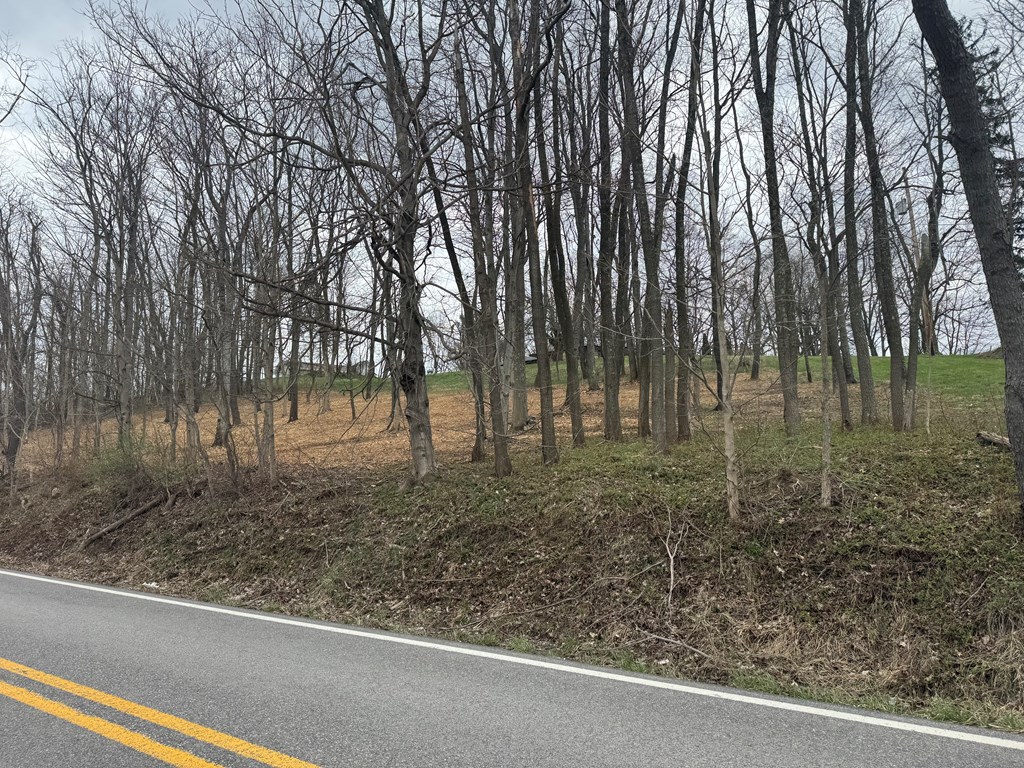 TBD GLEN DALE HEIGHTS RD, MARSHALL MEADOWS