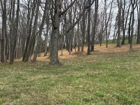 TBD GLEN DALE HEIGHTS RD, MARSHALL MEADOWS Glen Dale WV 26038