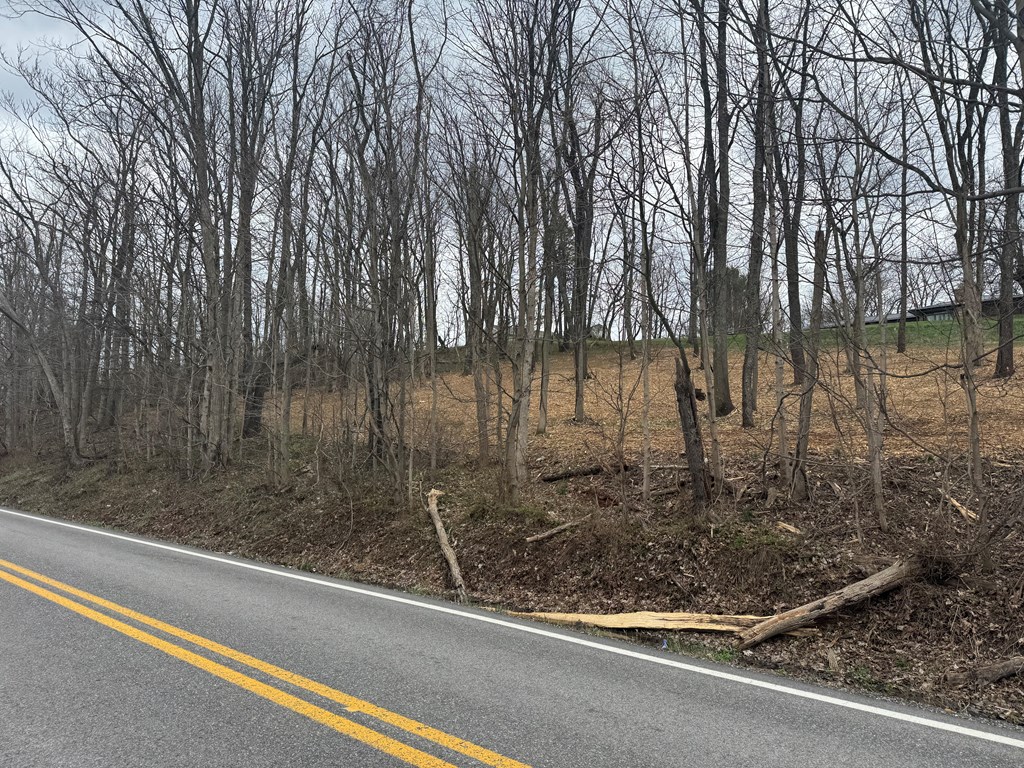 TBD GLEN DALE HEIGHTS RD, MARSHALL MEADOWS