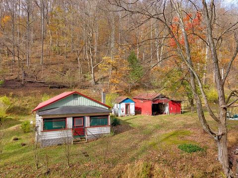 131 Big Bear Run Road Smithfield WV 26437