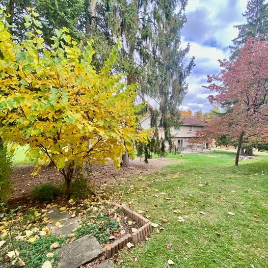 1810 National Road B2 106