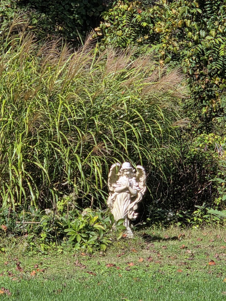 4404 Apple Pie Ridge Road