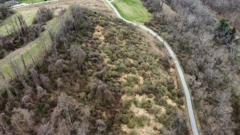 TBA Alexander Estates Triadelphia WV 26059