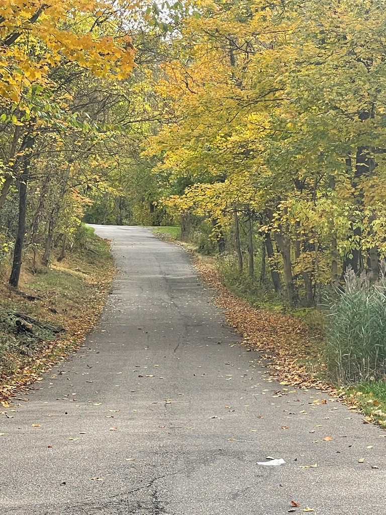 TBA Alexander Estates