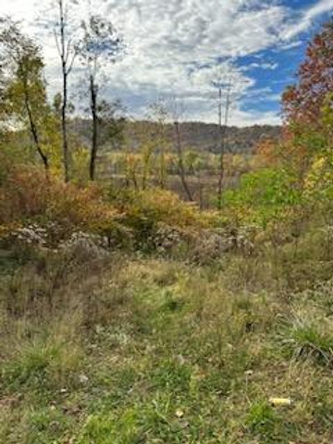 911 12th Street Moundsville WV 26041