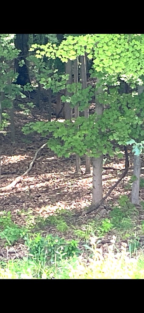 TBD Wetzel / Tyler Ridge