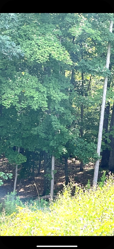 TBD Wetzel / Tyler Ridge