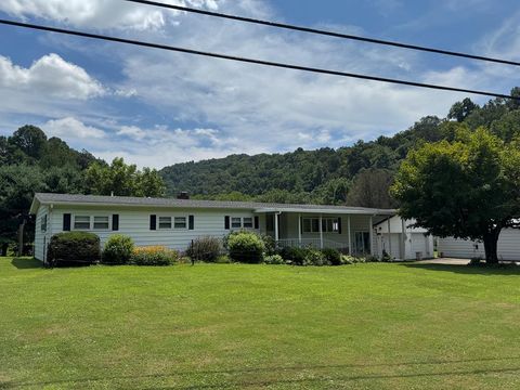 87 Mack Lane Pine Grove WV 26167