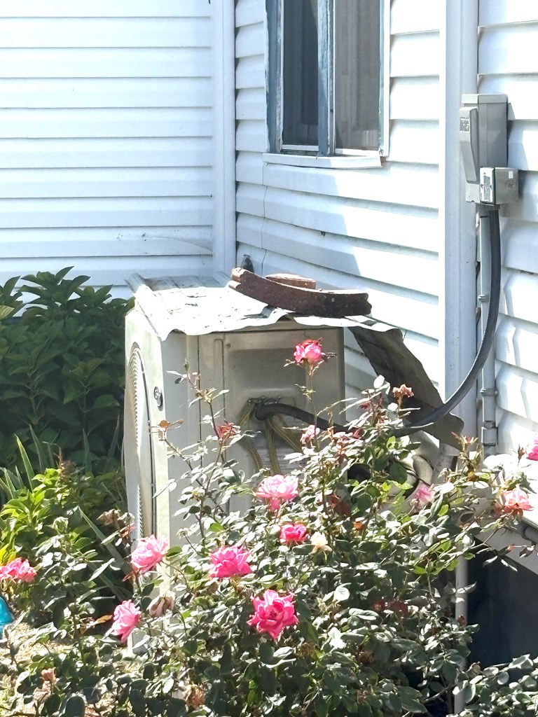 112 , 122 East Thistle Avenue