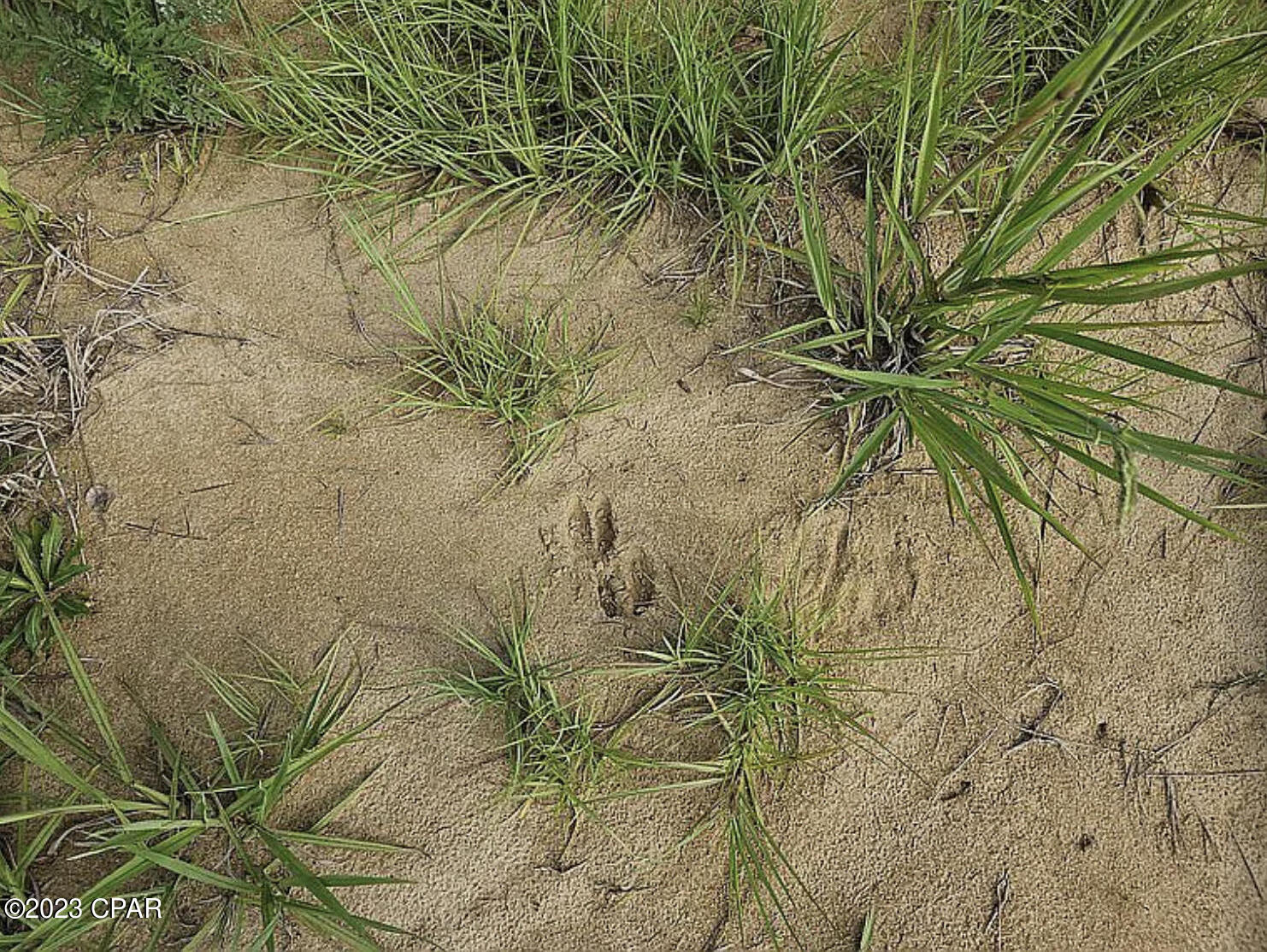 No Named Subdivision - Land