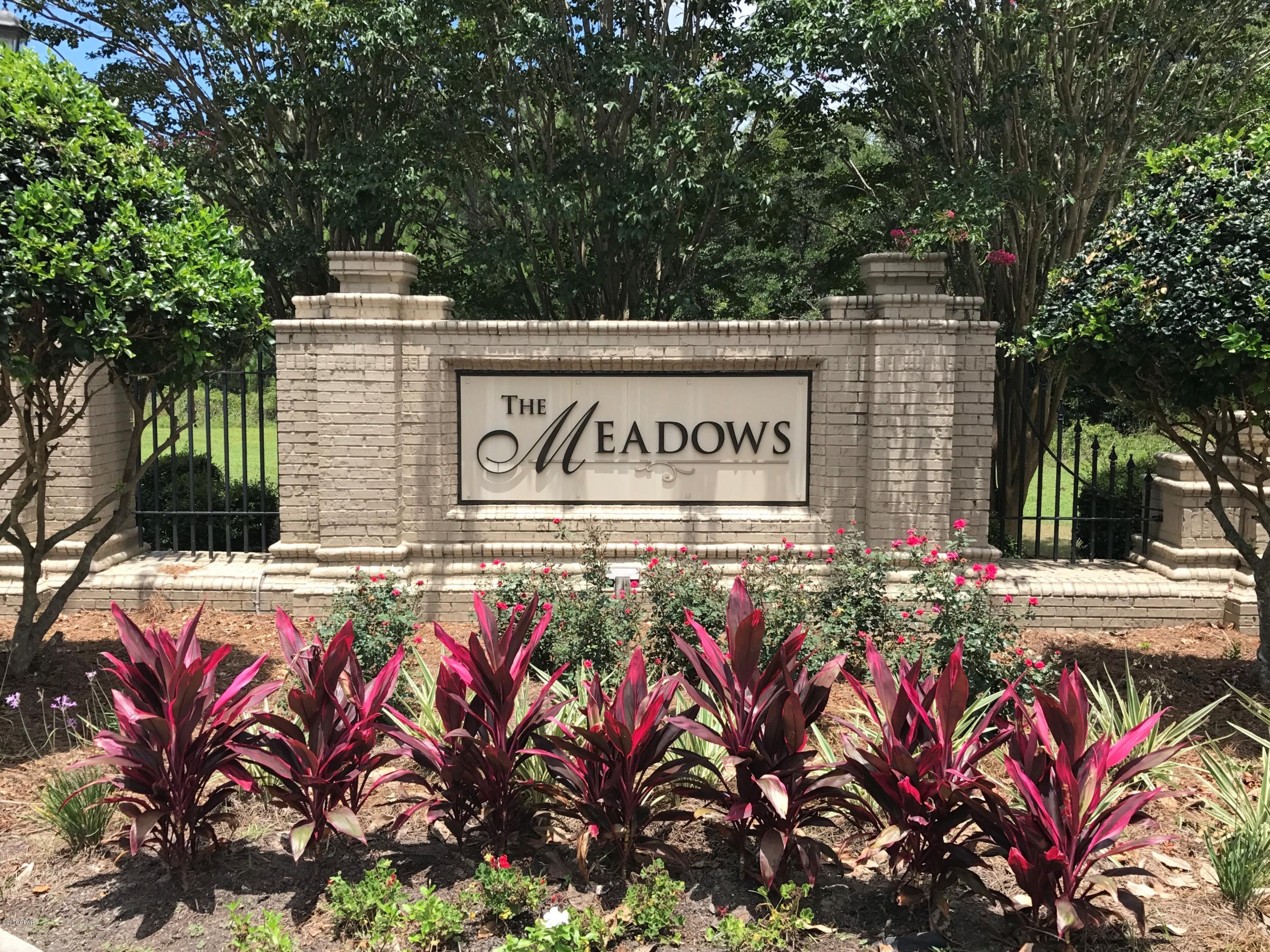 The Meadows & The Pointe - Residential