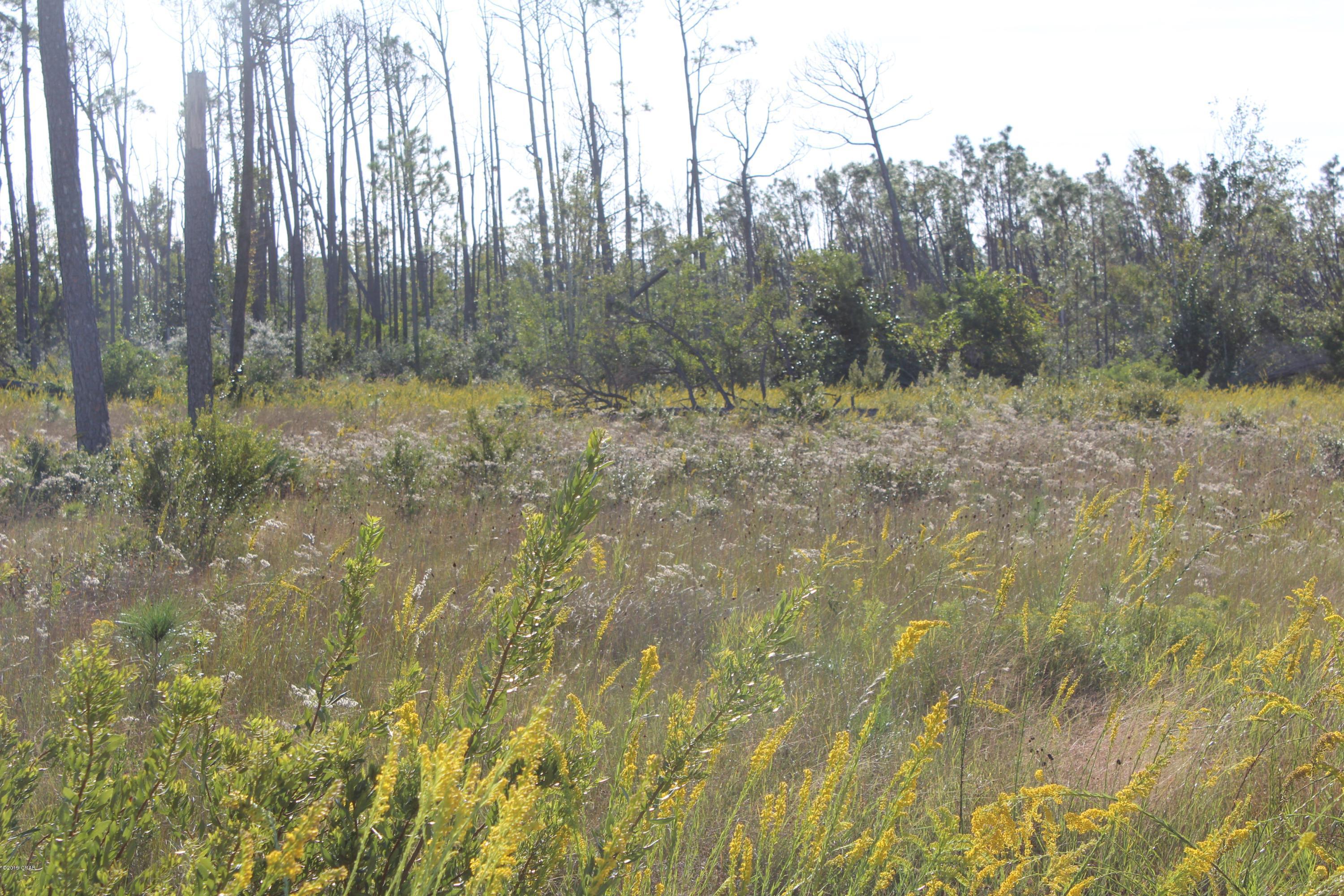 Richard Bayou Estates - Land