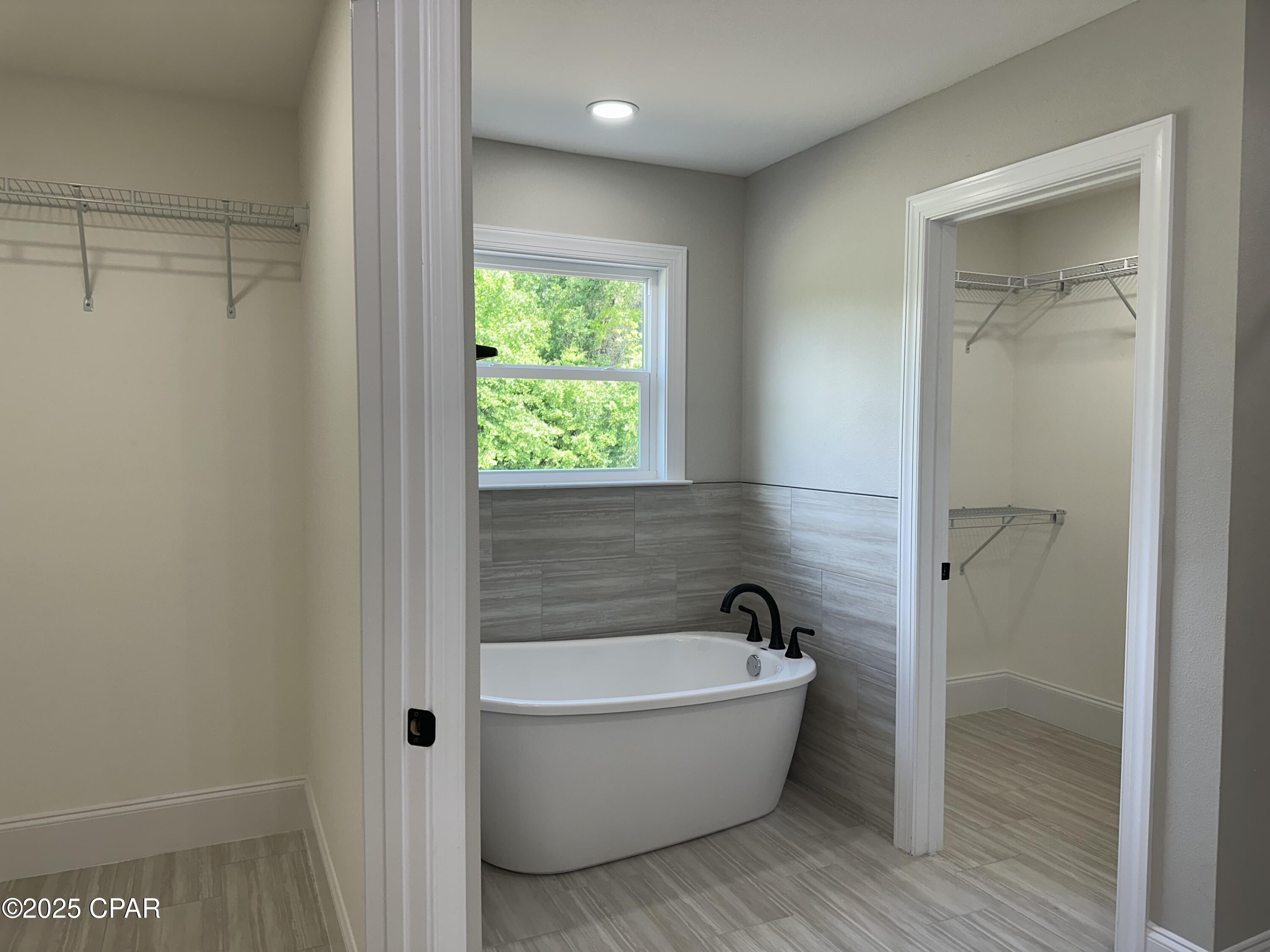 Cypress Tree - Residential