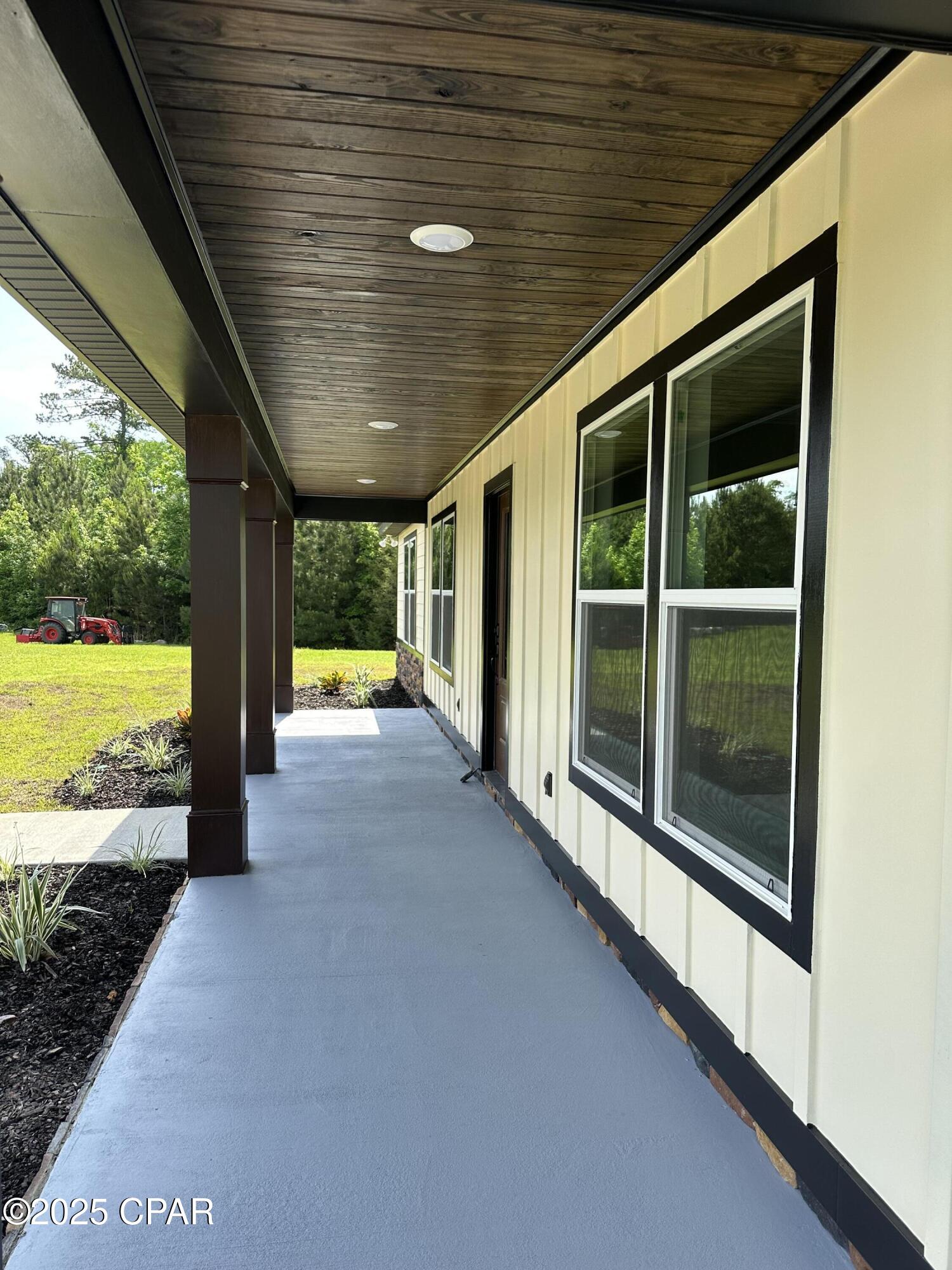 Cypress Tree - Residential