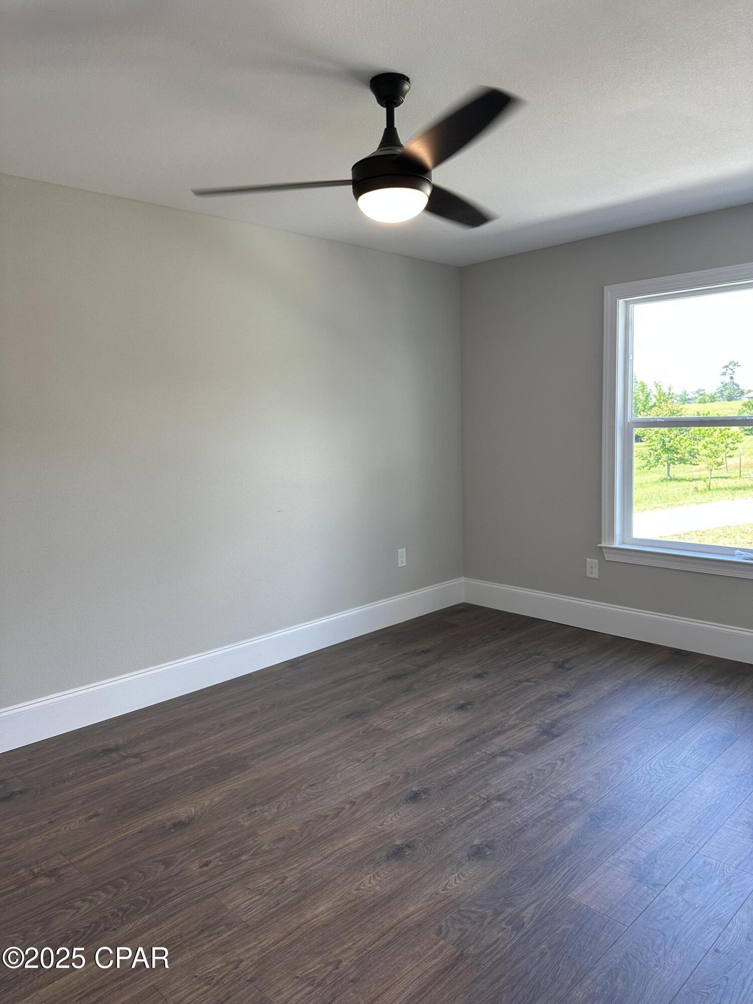 Cypress Tree - Residential