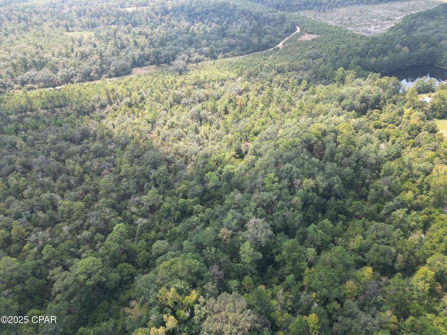 Welcome to your peaceful retreat in the heart of North Florida! This beautiful 8.5 +/- acre property in Vernon, Florida, offers an ideal setting for nature lovers, combining country living with convenient access to local amenities and abundant recreational activities.
Picture building your dream home on one of several high and dry homesites, surrounded by the natural beauty and serenity of rural country living. In the welcoming community of Vernon, enjoy friendly neighbors and a wholesome lifestyle, perfect for raising a family.
This property is a paradise for outdoor enthusiasts. The public boat ramp at Hicks Lake is just a quick 3-minute drive away for those who love fishing. Only 5 miles away, Holmes Creek has opportunities for kayaking and fishing from a dozen launch points and more than 15 springs along its scenic 16-mile stretch. 
The prime location also offers easy access to both Highway 79 and Highway 77, via Moss Hill Road, approximately 5 miles from the property. Plus, you're only a 40-minute drive to either Panama City or Panama City Beach, making it convenient to enjoy the restaurants, shopping, and beaches while still surrounding yourself in a peaceful, rural setting.
Whether you're passionate about fishing, or simply seeking a beautiful homesite in Florida's natural landscape, this property has it all. Don't miss the chance to call this property your own, conveniently close to all you need in beautiful Northwest Florida! Contact us today to schedule a showing.
Property Features:
*100% high and dry
*Paved road frontage
*Direct access to Hwy 79 and Hwy 77 via Moss Hill Road (5 miles away)
*Panama City, FL - approximately 40 miles
*Panama City Beach, FL - approximately 40 miles