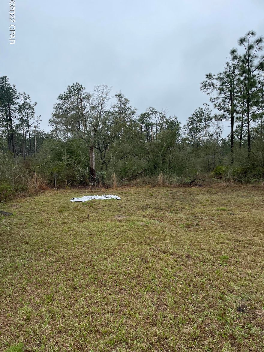 Make this your private get-away or homestead, mostly wooded with a mobile that owner places zero value on. Large pile of rubble to be disposed of, and well and septic installed.