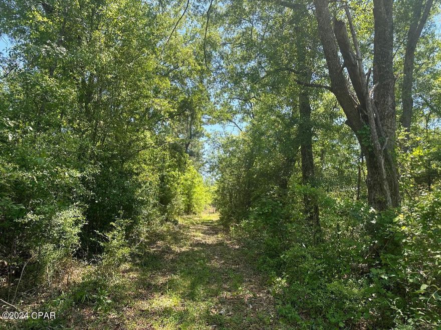 4.2 acres located on HWY 90 between Marianna and Cottondale.  This property features high and dry land that can be used to build a secluded home, poll barn, or whatever you wish to use at your discretion.   Could also be great for hunting.   Located right across the street from Circle D Ranch where they have Rodeo events and just down the road from the AG center.  Trails for access has recently been cleared and large trees are still prevalent in the property.    Come see for yourself if this property is right for you!!