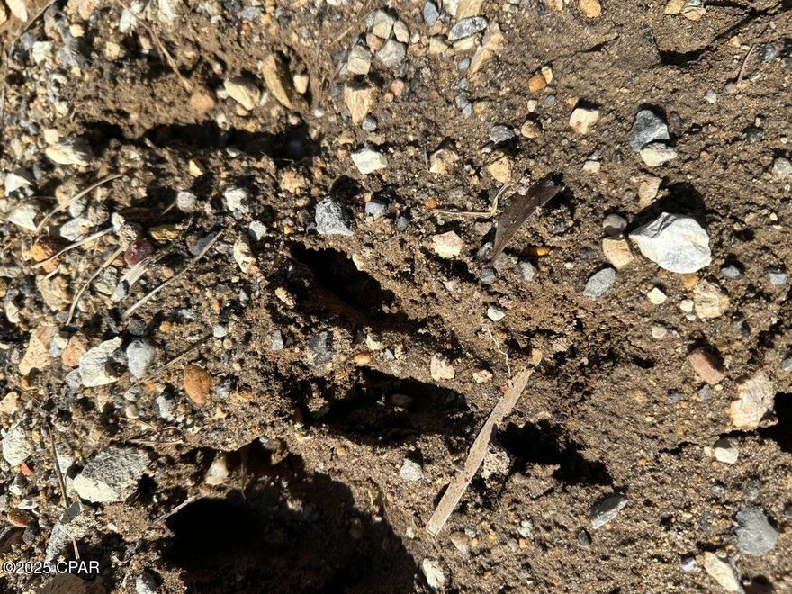 Opportunities like this are rare! Approximately 38.11 acres of versatile land located just off Chance Road, less than half a mile from Hwy 90 and about 5 miles from Chipley. Whether you're looking to build, explore, or enjoy recreational use, this property offers ample space and potential. Unpaved road frontage with convenient access to major travel routes including Hwy 90, Hwy 77, and I-10. Bring your vision—whether it's for your future homestead, outdoor activities, or long-term investment. Horses, ATVs, and outdoor gear welcome.