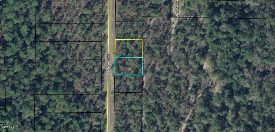 Two adjoining lots in Unit 7 of Sunny Hills. Sunny Hills is located approximately 25 miles north of Panama City and 18 miles south of Chipley. This community features a popular 18 hole public golf course and many fine fishing and recreation lakes. Restricted to site built homes only. With the growth moving north along HWY 77, this is a great time to invest in the future of the Florida Panhandle. Buyer to pay Title Insurance, Closing Fee, and Doc stamps on the deed.