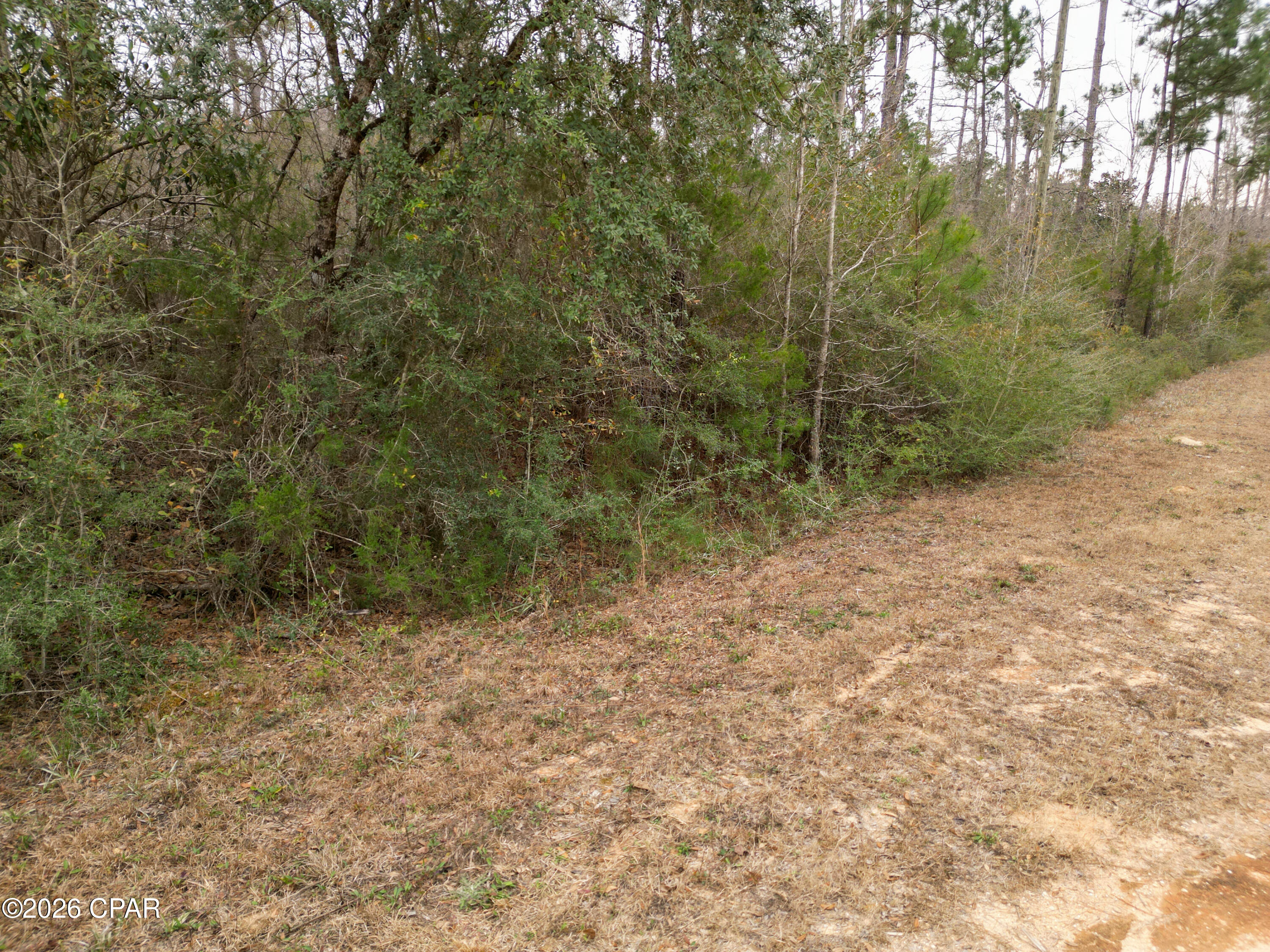 Compass Lake Hills Unit 3 - Land